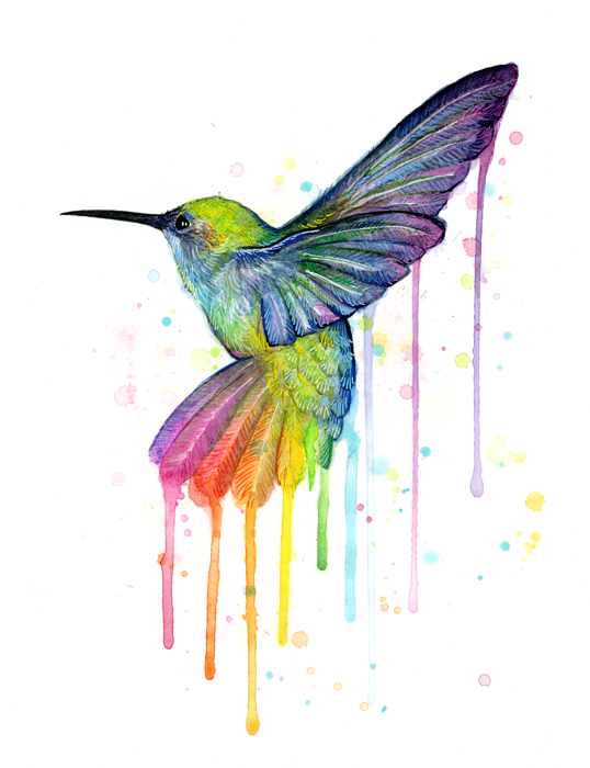 Watercolor Hummingbird Download HD PNG Image