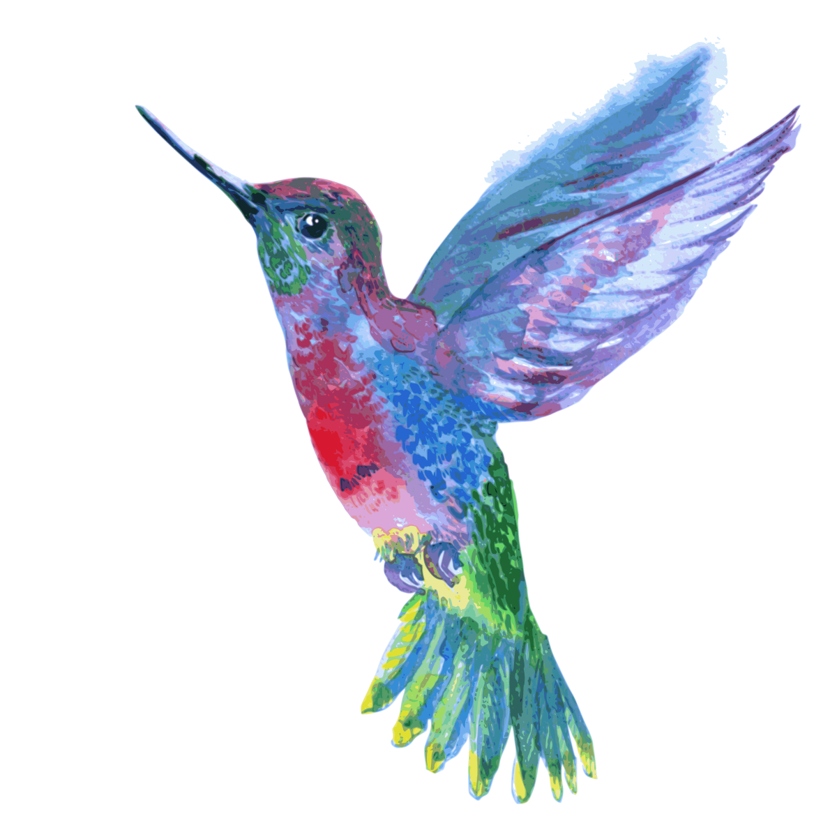 Watercolor Hummingbird Free Clipart HQ PNG Image