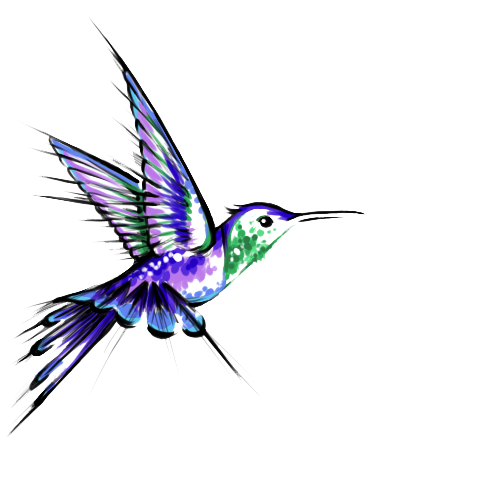 Hummingbird Tattoos Transparent PNG Image