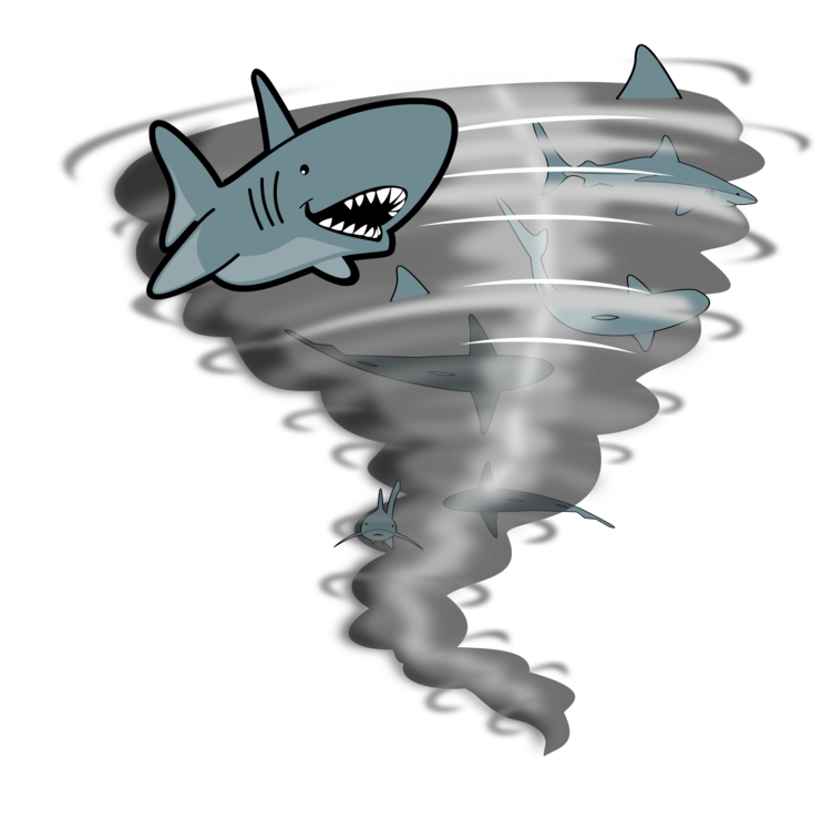 Cyclone Photos Animated Hurricane Free Transparent Image HQ PNG Image