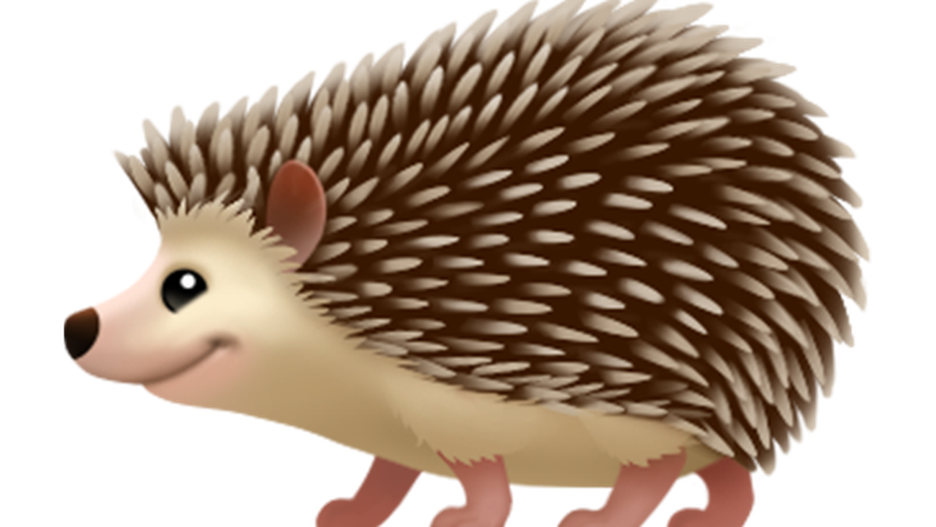 Sonic The Emoji Erinaceidae Hedgehog PNG Image High Quality PNG Image
