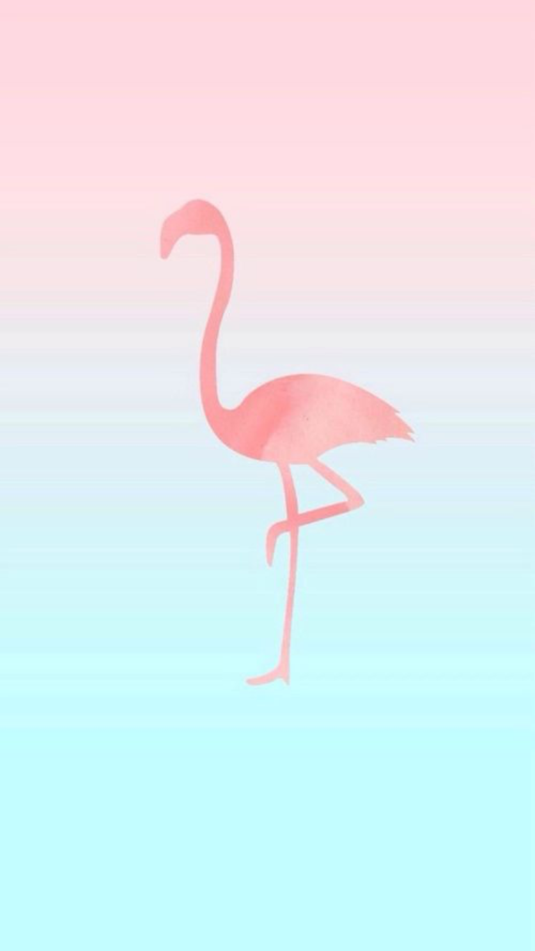 Flamingo Flamingos Iphone Wallpaper Desktop Free HQ Image PNG Image