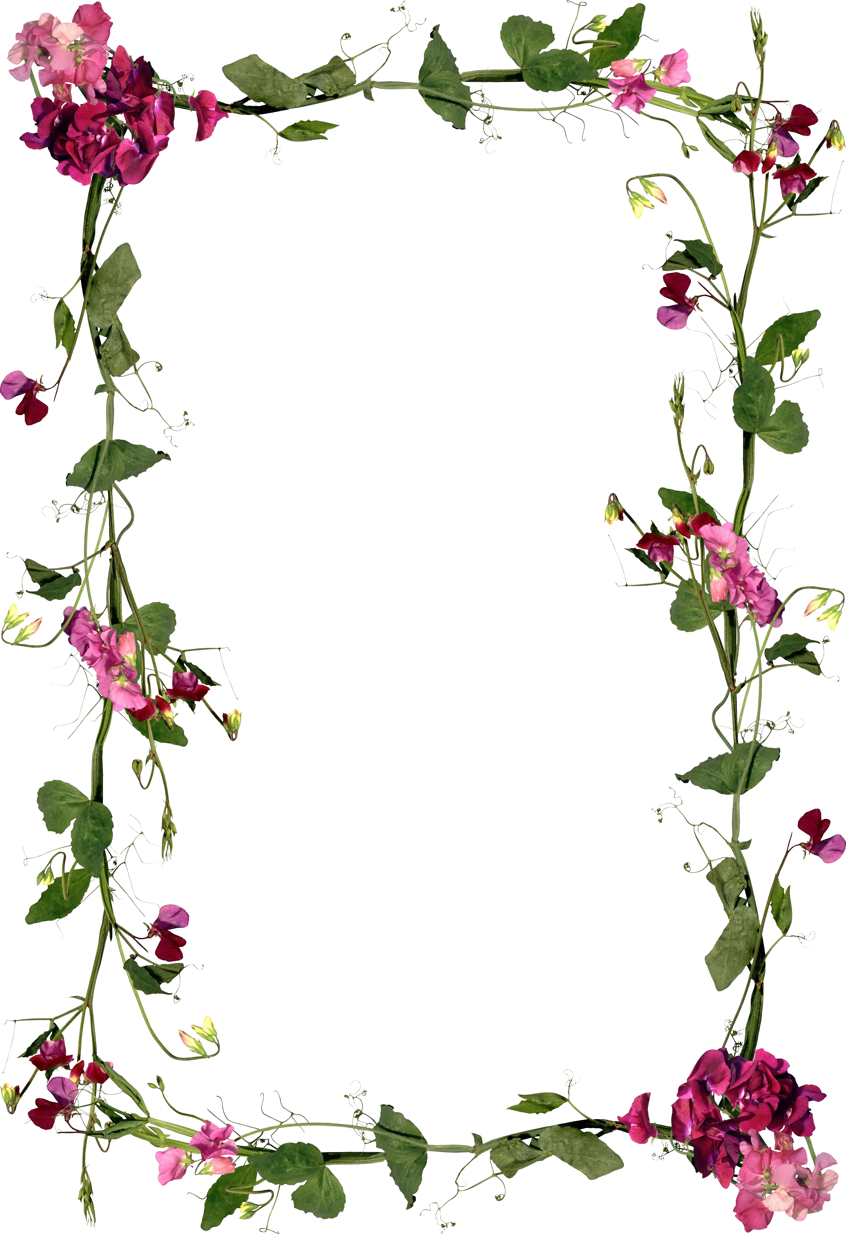 Flower Mubarak Frame Greeting Note Al-Adha Eid PNG Image