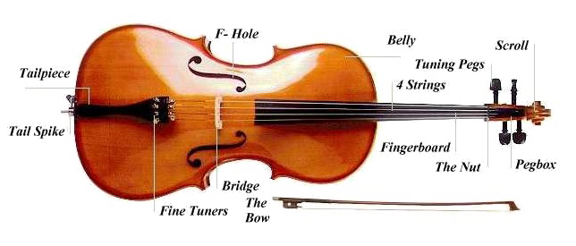 Cello Picture Free Clipart HD PNG Image
