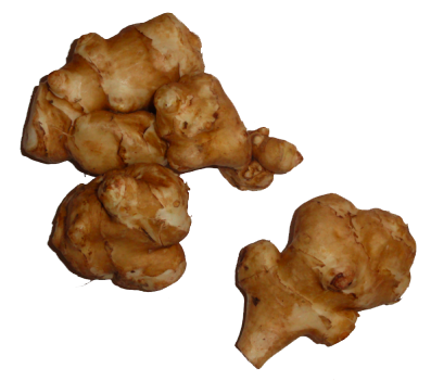 Jerusalem Artichokes Png Image PNG Image