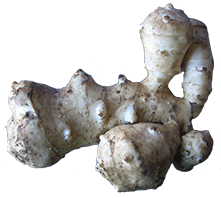 Jerusalem Artichokes Png PNG Image