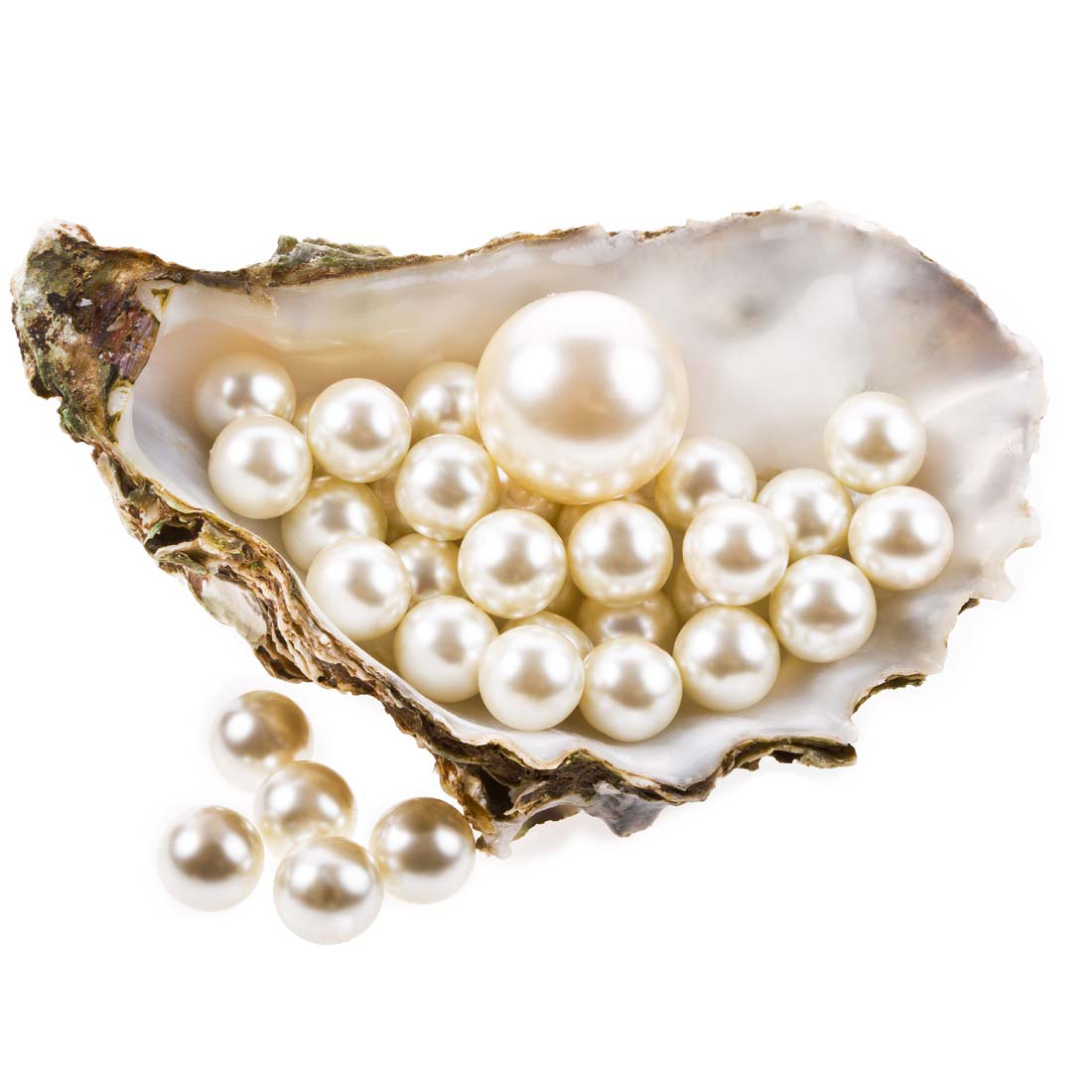 Download Pearl PNG Download Free HQ PNG Image | FreePNGImg