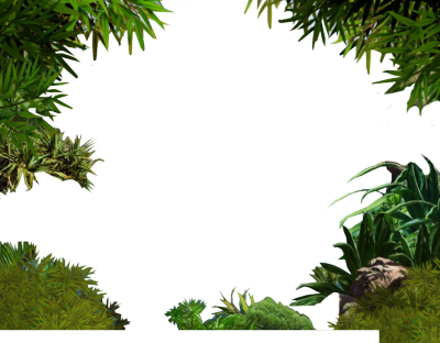 Jungle Border Transparent Image PNG Image