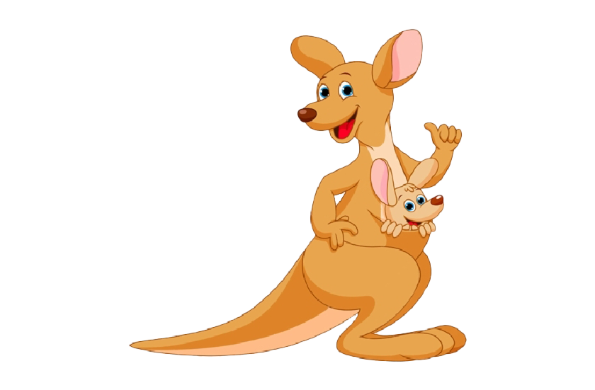 Kangaroo Pic Joey Free Download PNG HD PNG Image