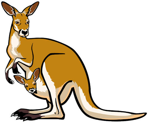 Kangaroo Vector Pic Free HQ Image PNG Image