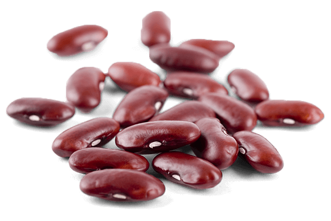 Fresh Beans Kidney Free HD Image PNG Image
