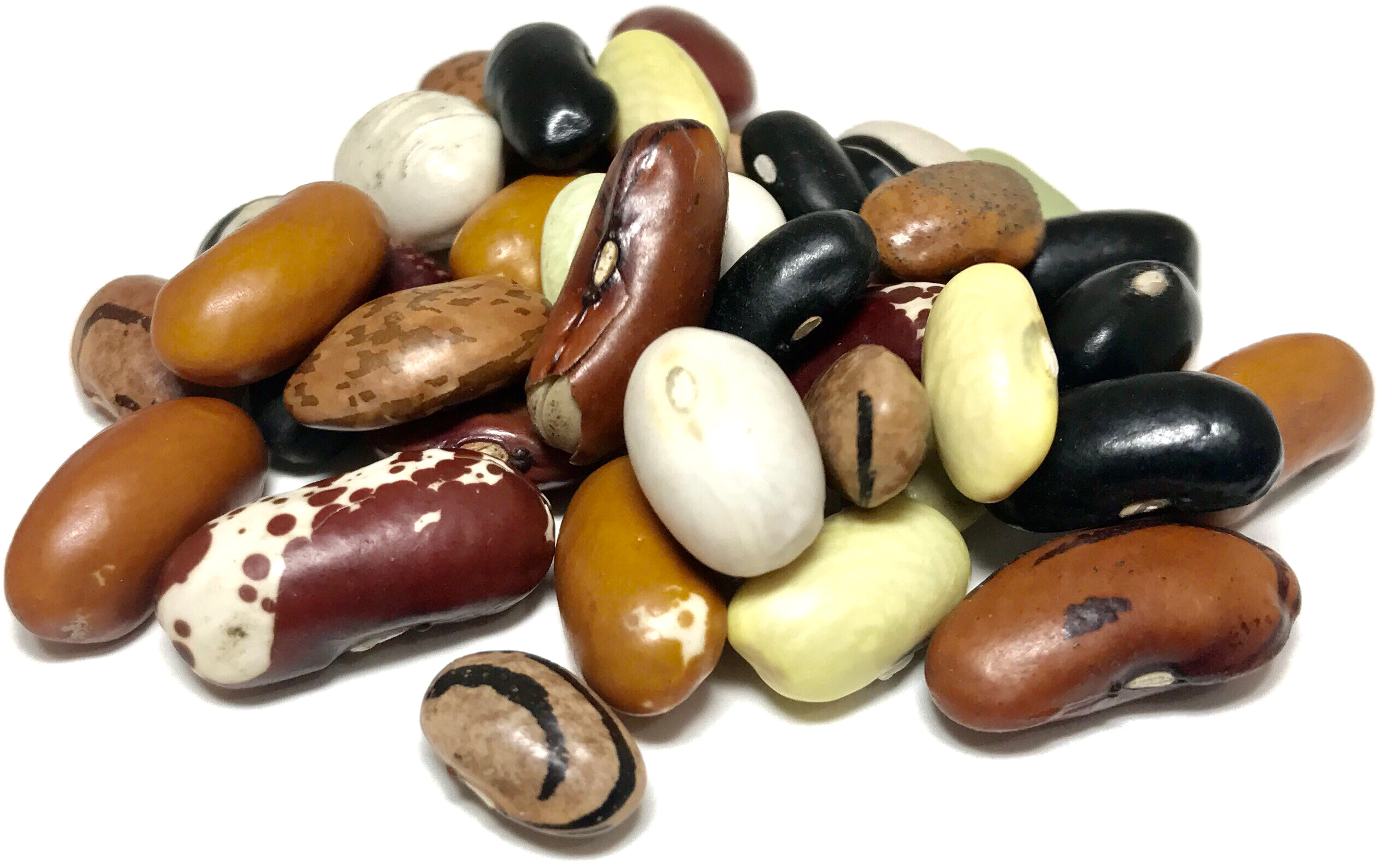 Mixed Beans Kidney HQ Image Free PNG Image