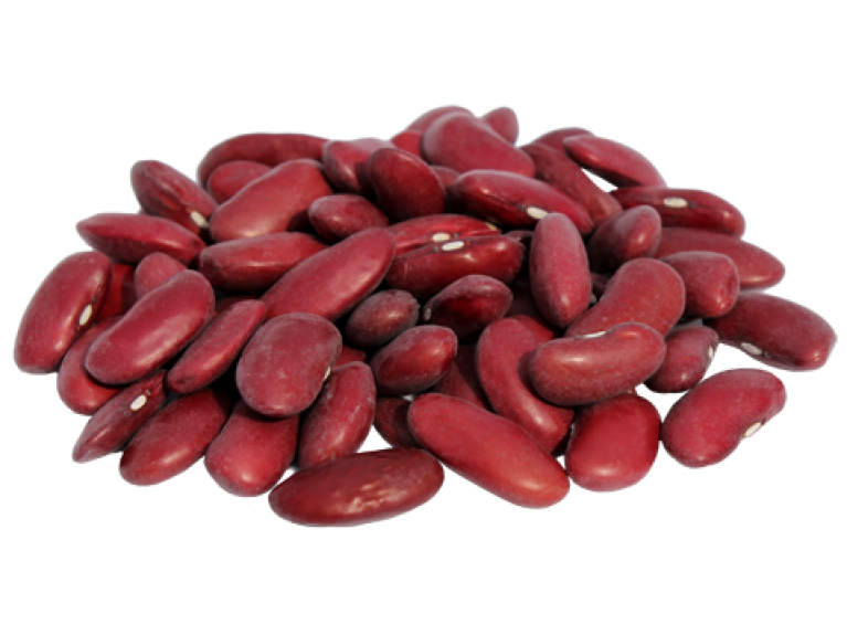 Beans Organic Kidney PNG Image High Quality PNG Image