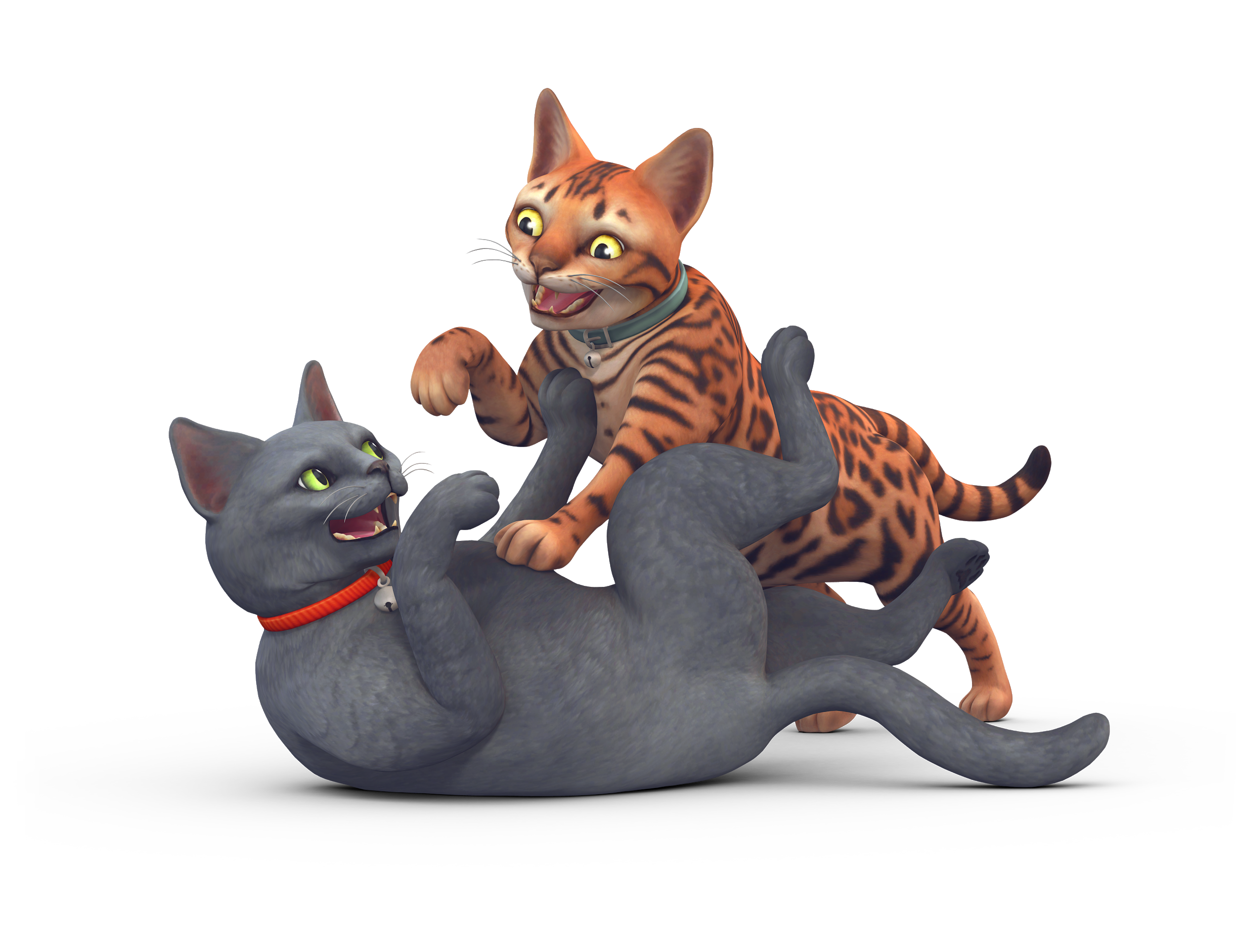 Sims Medium Dog Cat Sized To Cats PNG Image