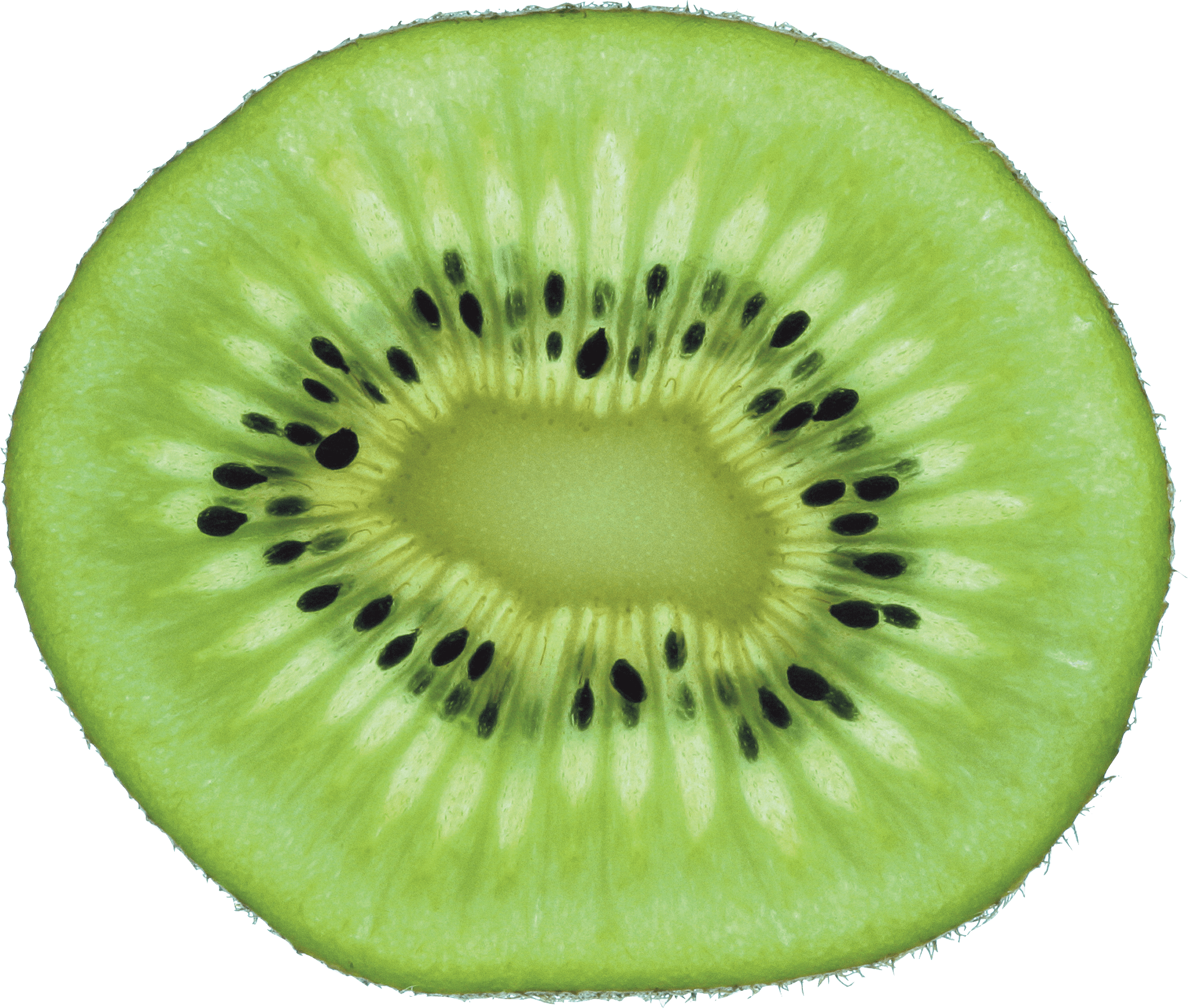 Green Cutted Kiwi Png Image PNG Image