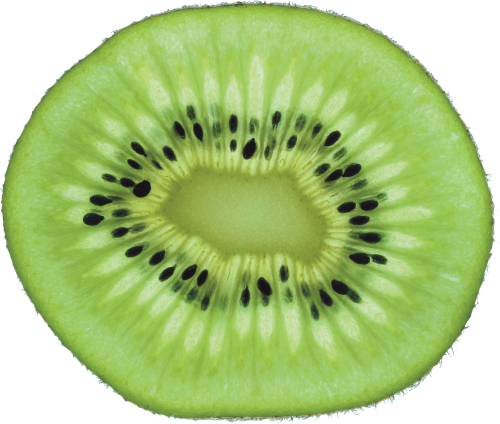 Kiwi Png Hd PNG Image