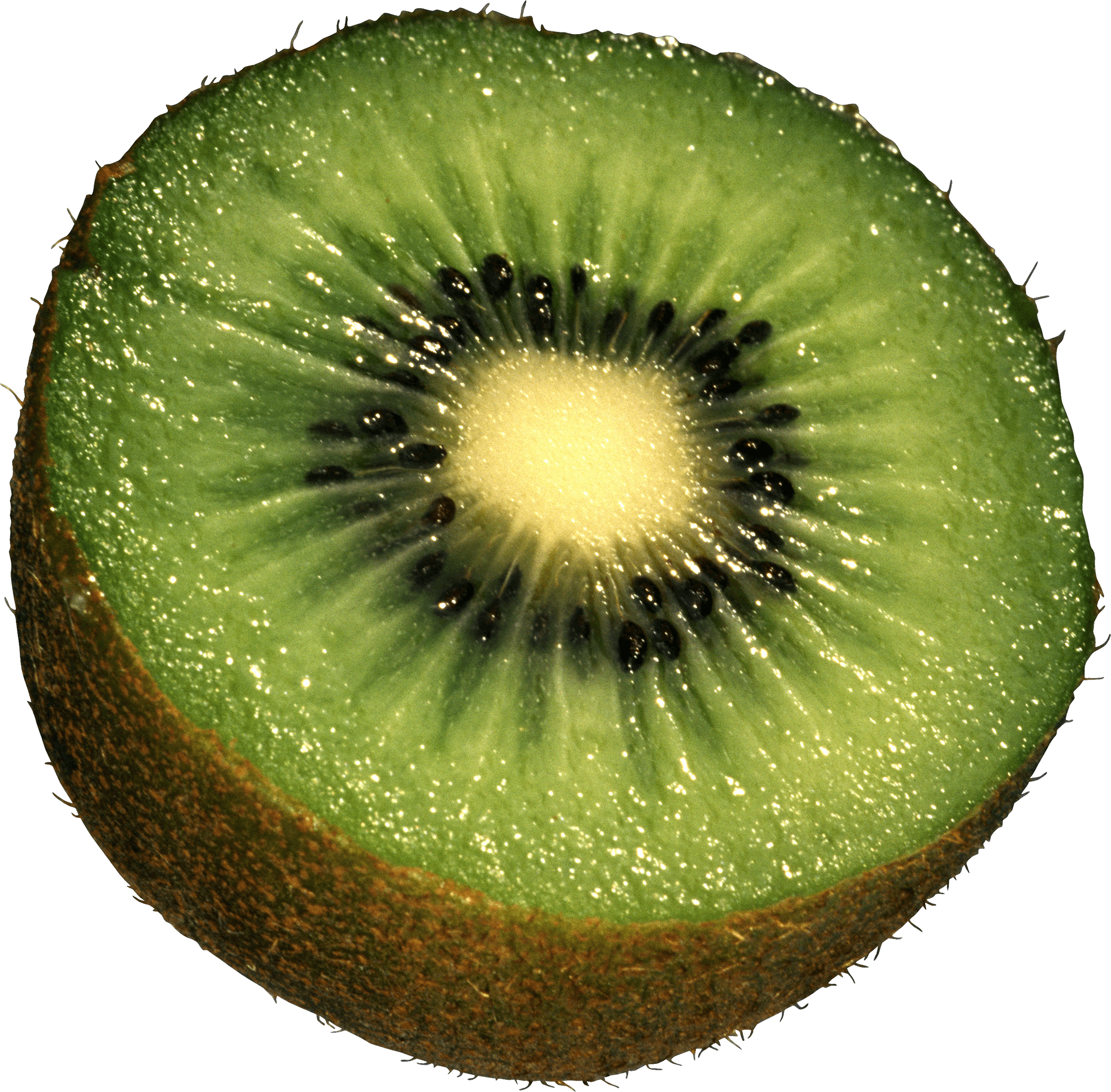 Kiwi Png Image Fruit Kiwi Png Pictures Download PNG Image
