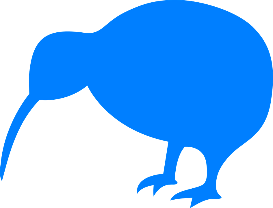 Wild Kiwi Bird Free Transparent Image HQ PNG Image