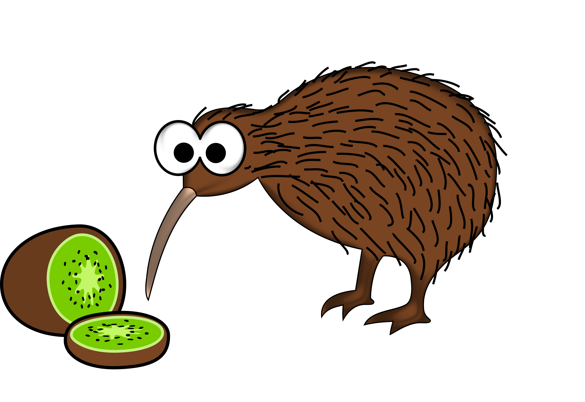 Kiwi Bird PNG Image