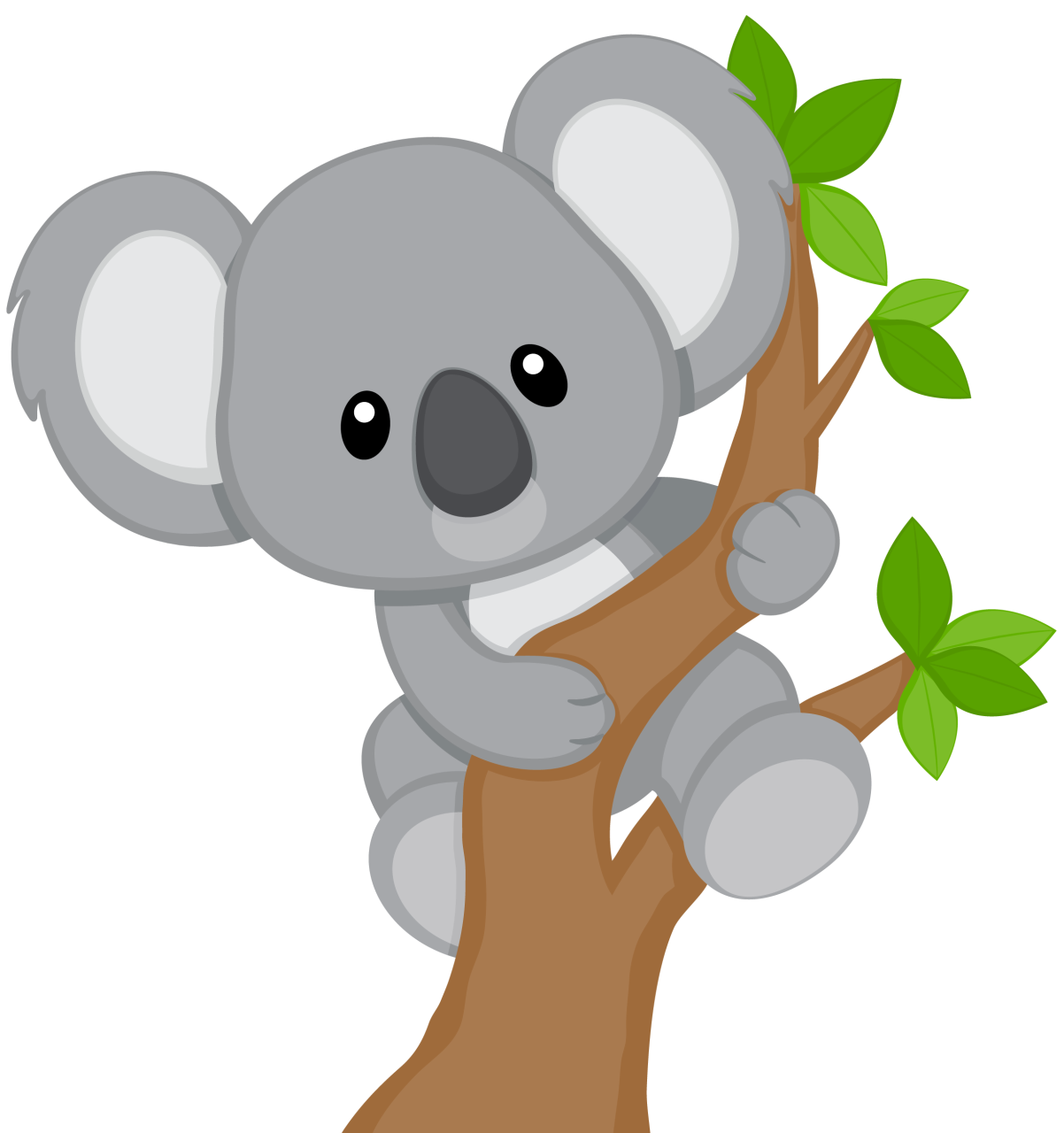 Koala Face PNG Download Free PNG Image