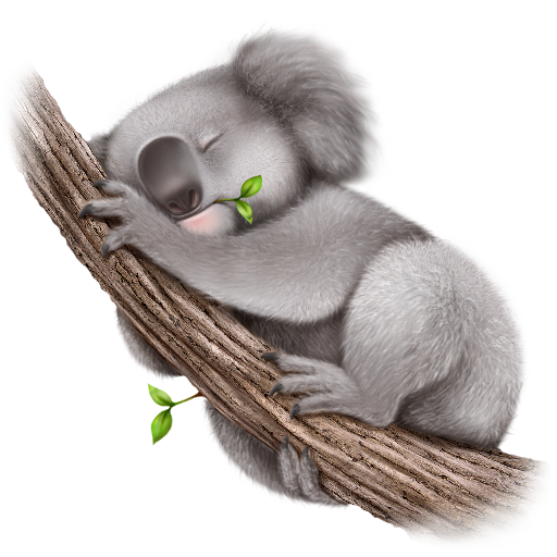Koala PNG Download Free PNG Image