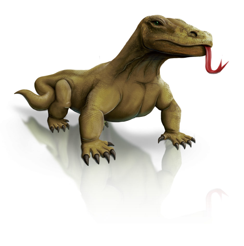 Komodo Dragon Picture PNG Image