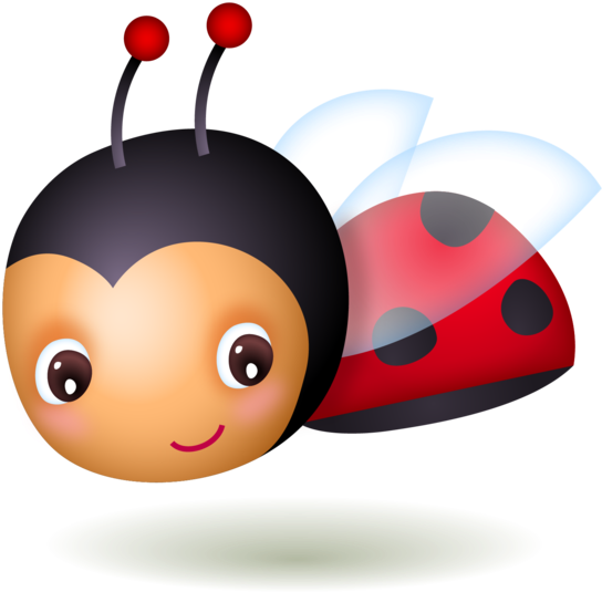 Ladybug Insect Vector HQ Image Free PNG Image