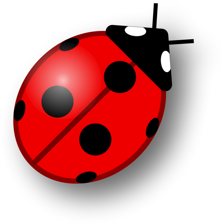 Ladybug Insect Vector Free Clipart HD PNG Image
