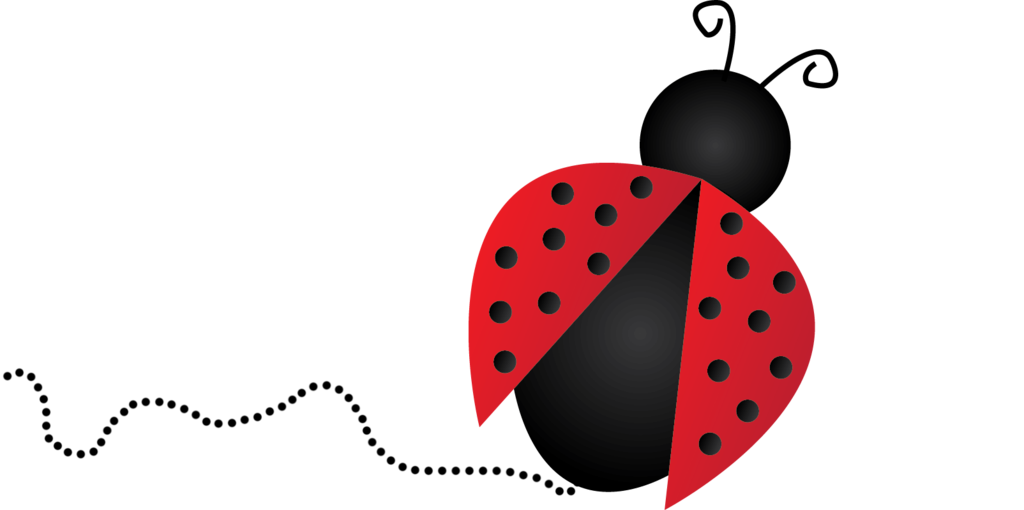 Ladybug Png Image PNG Image