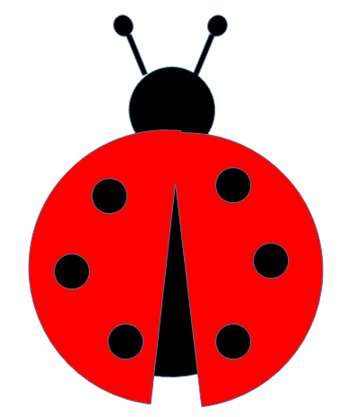 Ladybug PNG Image