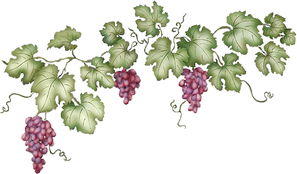 Vine Leaf Grape Free Transparent Image HD PNG Image