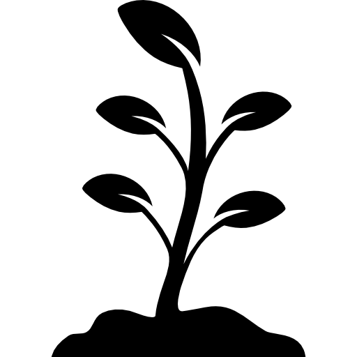 Growing Plant Free Download Image PNG Image