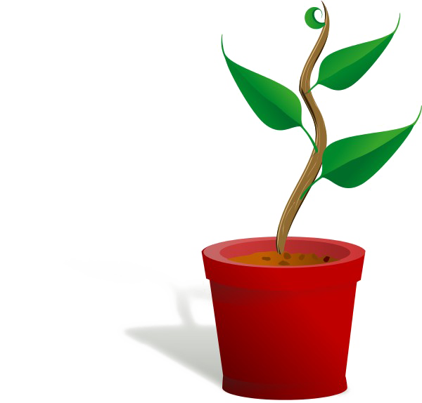 Growing Plant Download Free Clipart HD PNG Image