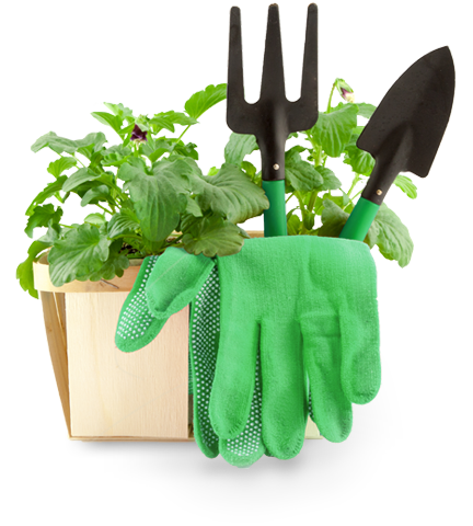 Gardening Image Free HD Image PNG Image