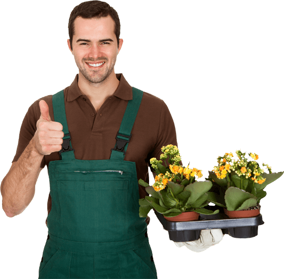 Gardening PNG File HD PNG Image