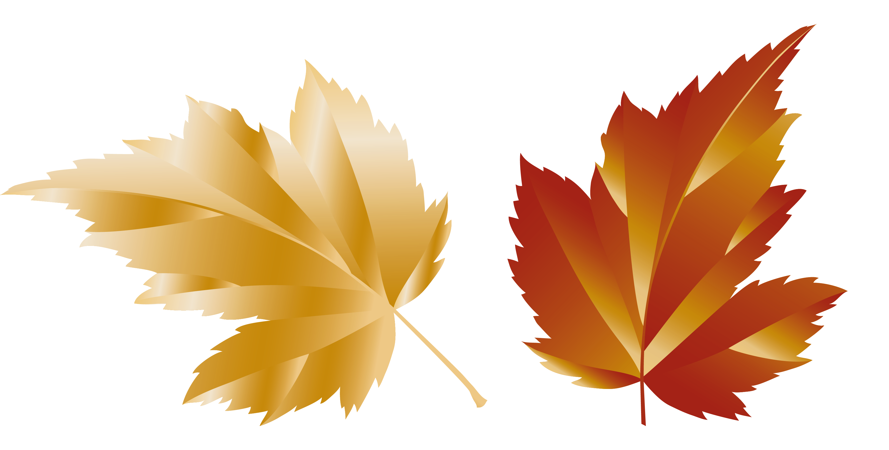 Autumn Plant Leaf Maple Free PNG HQ PNG Image