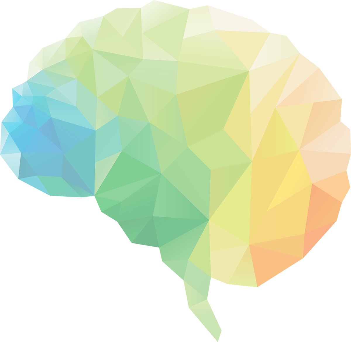 Brain Circle Leaf Human Neuroscience PNG Free Photo PNG Image