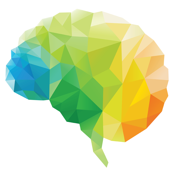 Brain Green Leaf Polygon Human Download HD PNG PNG Image