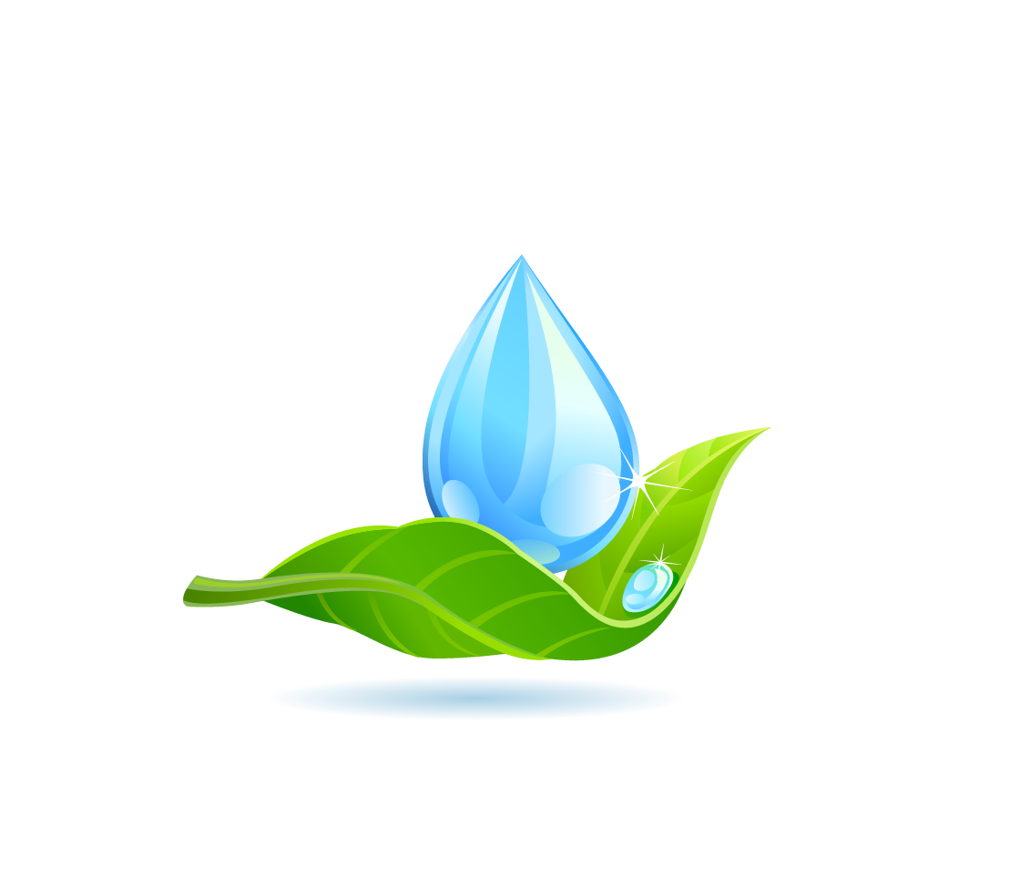 Water Drop Leaf Dew Free Download PNG HD PNG Image