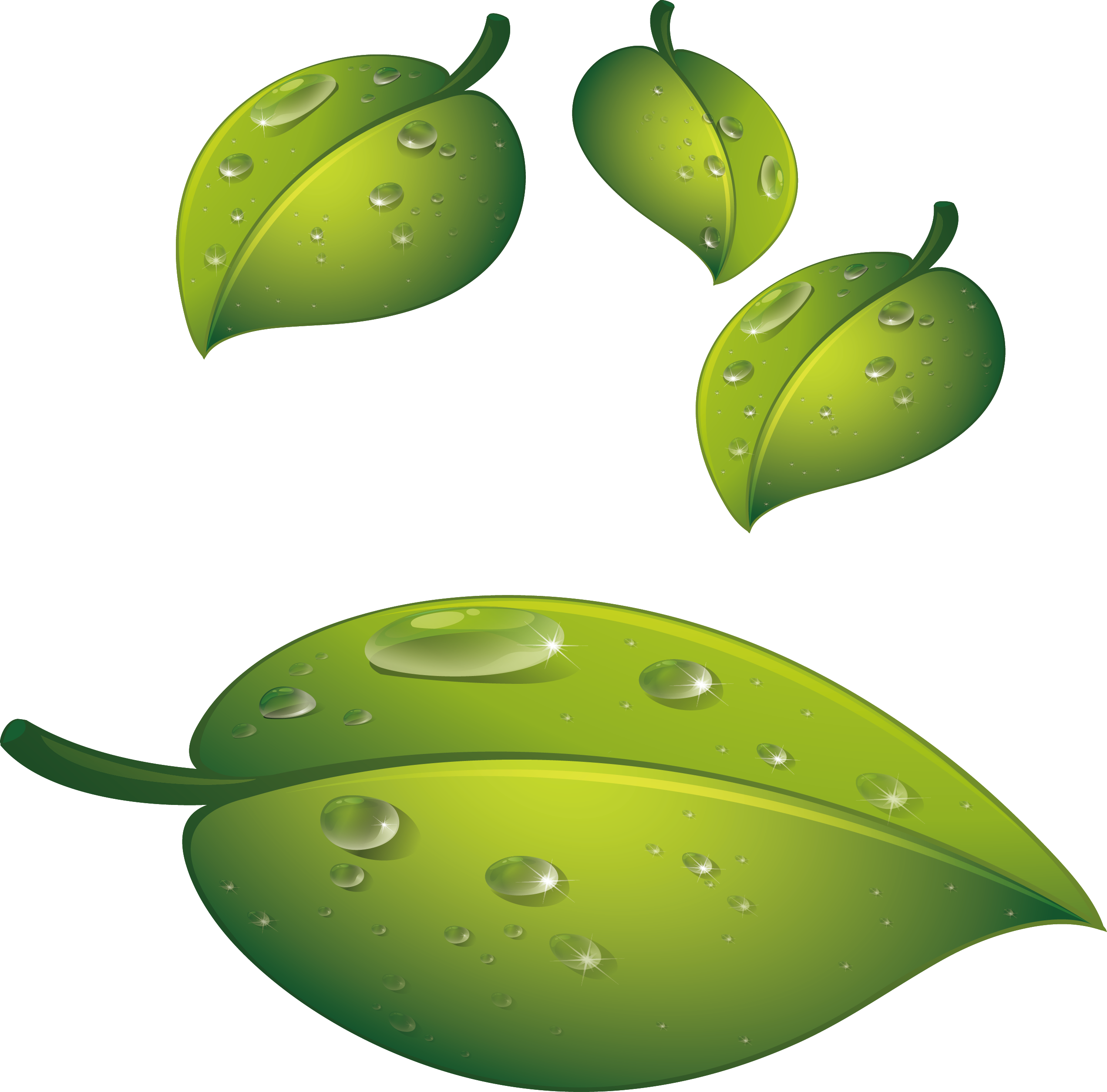 Water Drop Leaf Dew Free Transparent Image HQ PNG Image