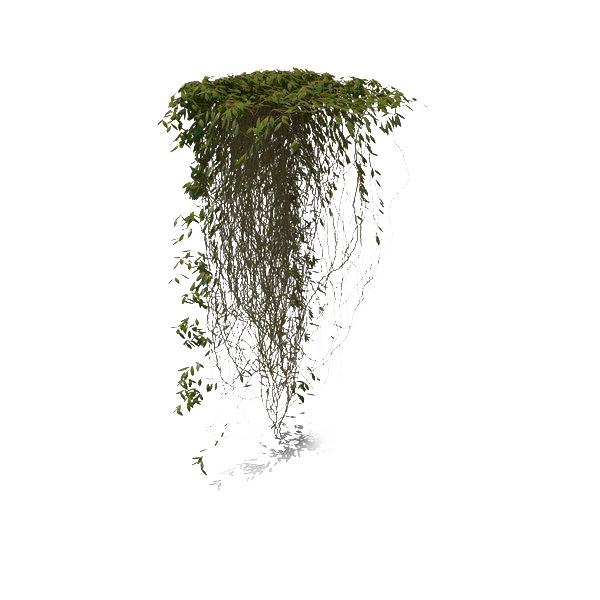 Ivy Hanging PNG Free Photo PNG Image