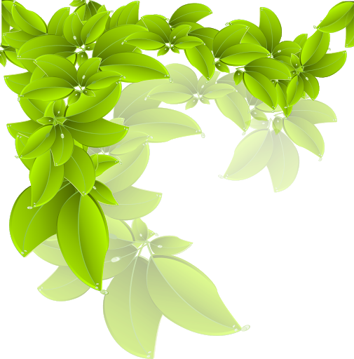 Green Leaves Organic Free HQ Image PNG Image