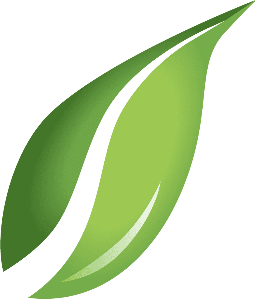 Photos Single Green Leaves Free Transparent Image HQ PNG Image