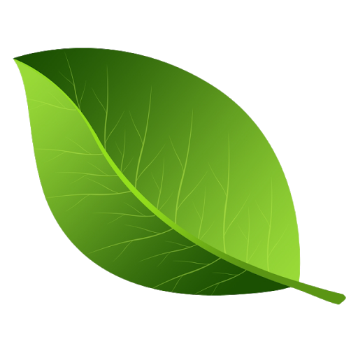Single Pic Green Leaves Free Transparent Image HQ PNG Image