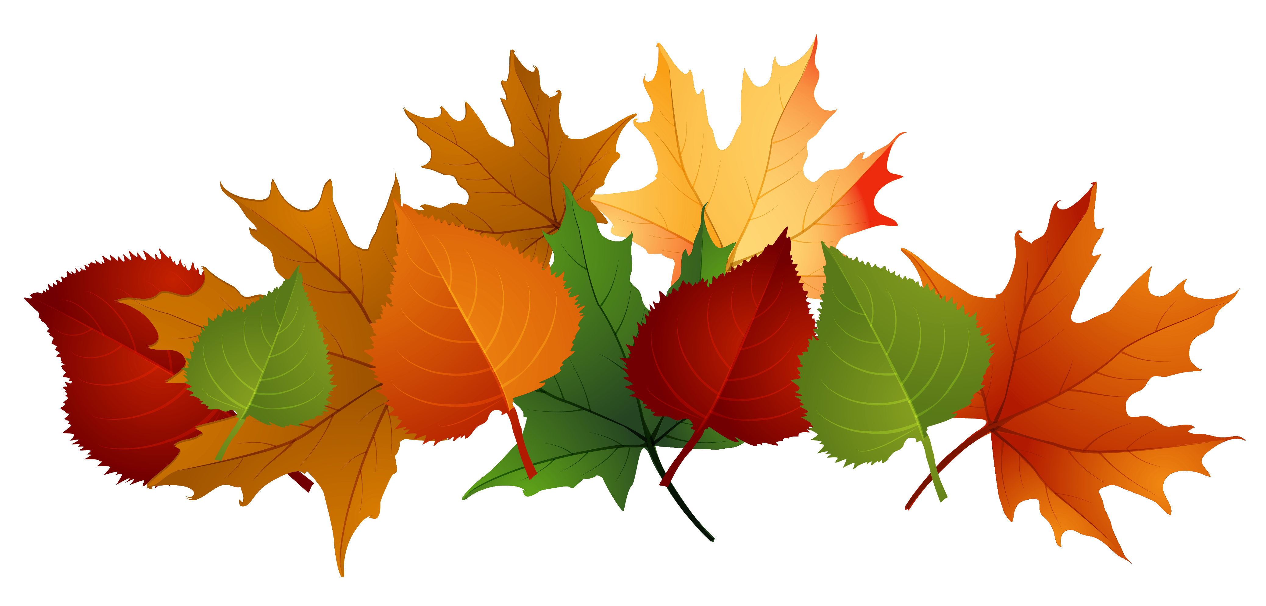 Autumn Leaves Transparent Image PNG Image