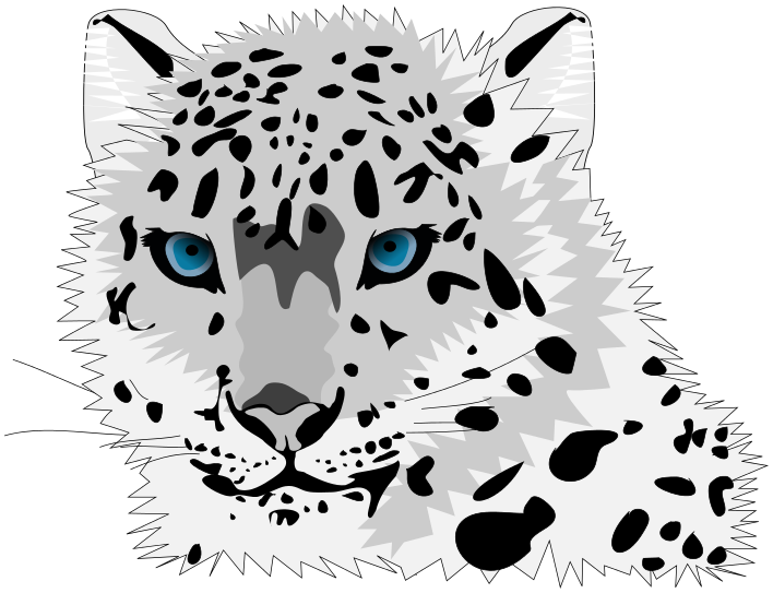 Leopard Free Download PNG Image