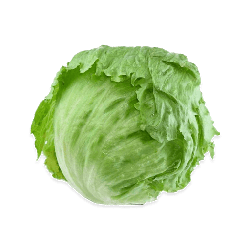 Lettuce Pic Green Butterhead Download HD PNG Image