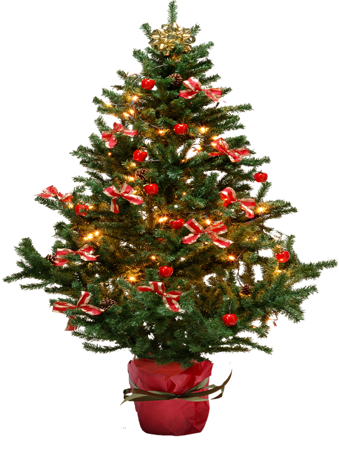 Lights Fir-Tree Christmas Download Free Image PNG Image