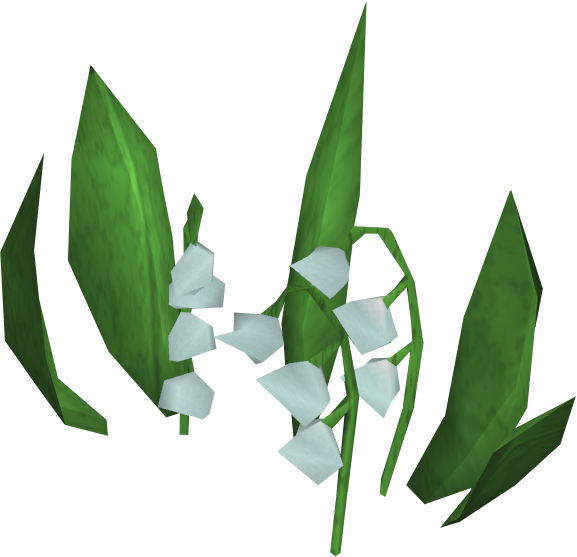 Lily Of The Valley Transparent PNG Image