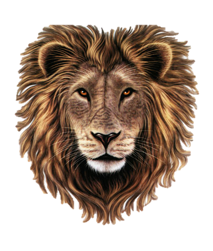 Lion Head Clipart PNG Image